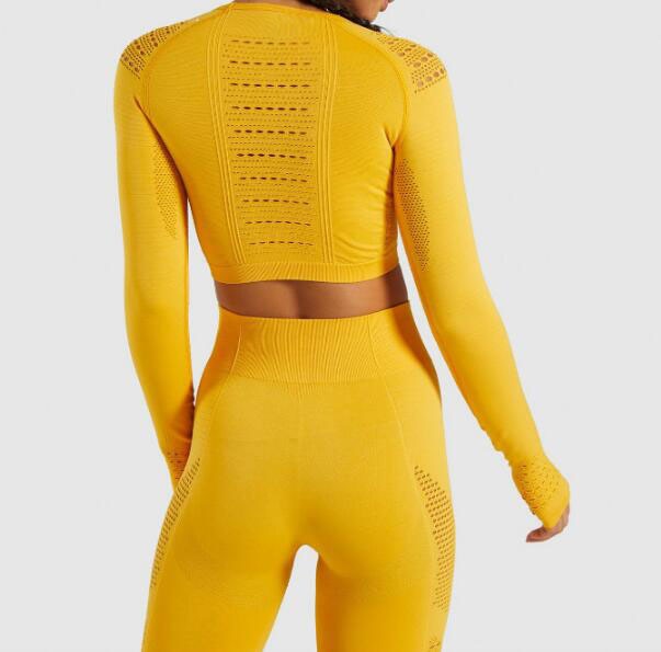 Women Seamless Yoga Sets Workout Clothes for Women Long Sleeve Crop Top + Mesh Leggings Running Sport Suit Gym Clothing 2 Pieces