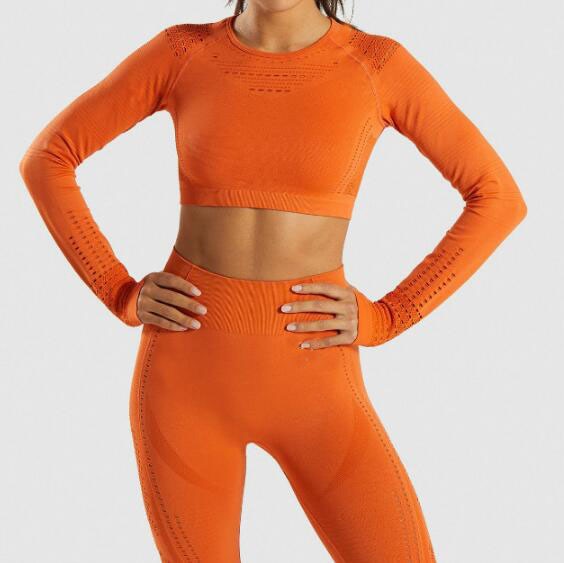 Women Seamless Yoga Sets Workout Clothes for Women Long Sleeve Crop Top + Mesh Leggings Running Sport Suit Gym Clothing 2 Pieces